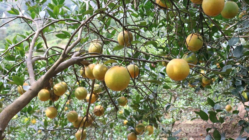 suối khoáng nóng ban mai retreat